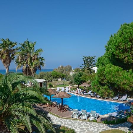 Alkyoni Beach Hotel Naxos City Экстерьер фото