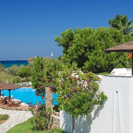 Alkyoni Beach Hotel Naxos City Экстерьер фото