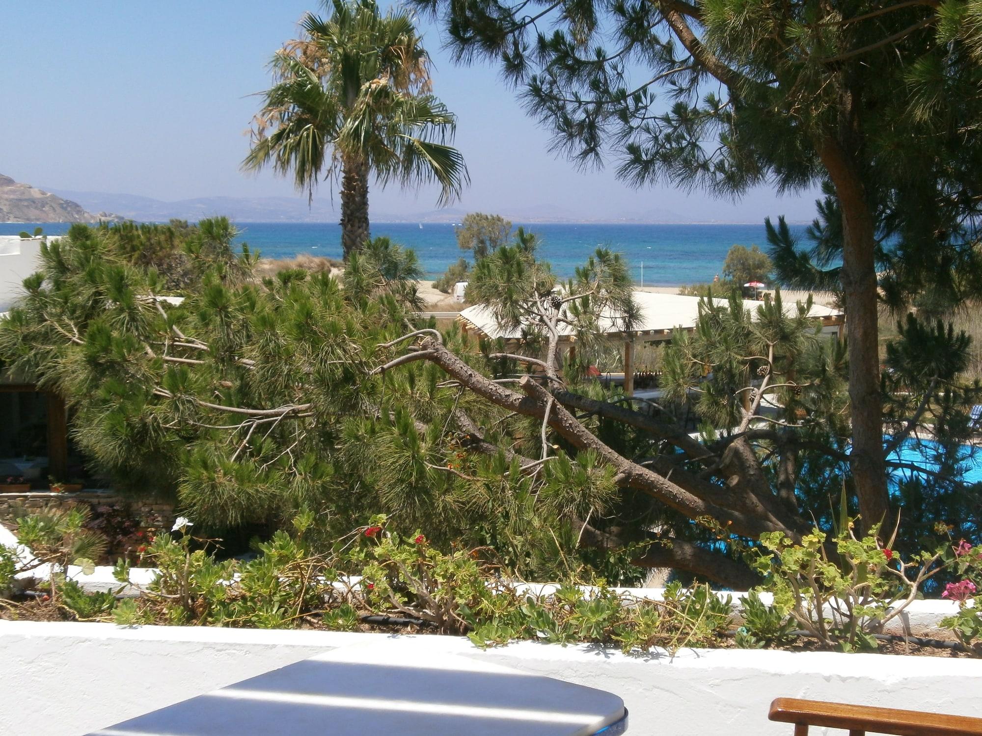 Alkyoni Beach Hotel Naxos City Экстерьер фото